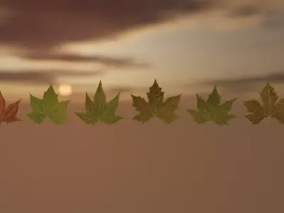  Leaf Pack Realistic 4k High-End CGI Low-poly 3D model