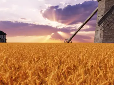 Wheat Field 3D model