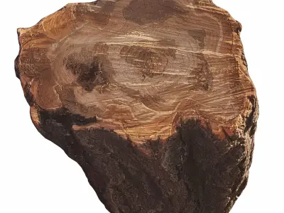 trunk 101 3D model