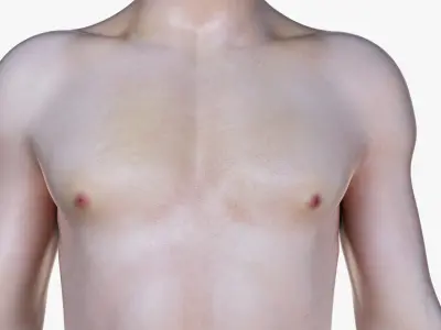  Full Male Anatomy Simplified 