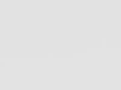 DJI MINI SE Fly More Combo Low-poly 3D model