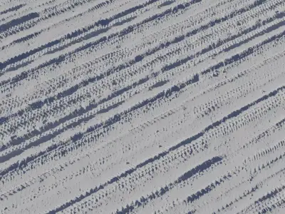 Fresh Tilled Furrowed Soil Texture  Texture