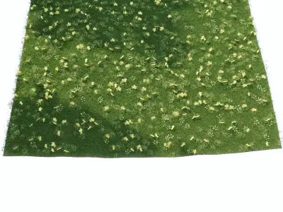 Lawn with fallen leaves 3D model