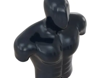 Male Sports Mannequin Torso for Outerwear 113 3D model