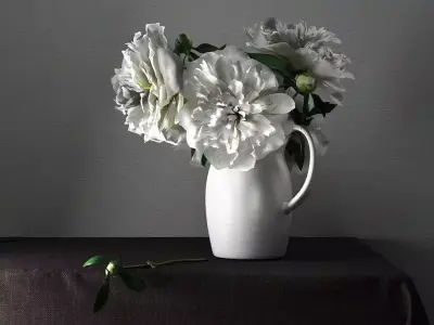 White Peonies 3D model
