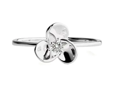 Ring - 84 3D print model