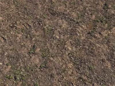 Spring soil  2 3D model