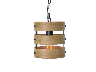 Gulliver Mini Pendant and Progress Lighting Turnbury 3D model