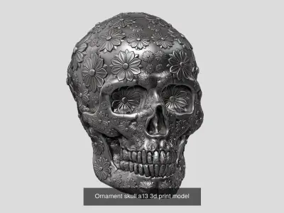 10 skull robot head and ornament skull 3d print model 3D Model Pack