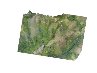 Cotton Farm 15 05 2021 Low-poly 3D model