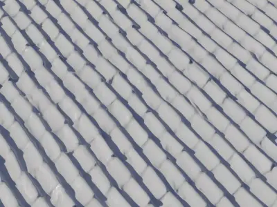 Moss Spotted Clay Pan Roof  Texture