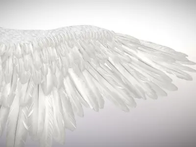  Highly Detailed RIGGED ANGEL or BIRD WINGS 