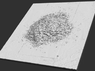 Leaves on the ground 3d scan 3D model