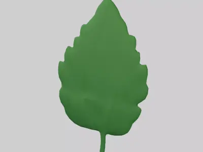 Mint v1 001 Free low-poly 3D model