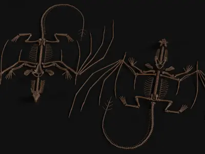  Fossilized Dragon Skeleton in Unfolded State for 3D Print 