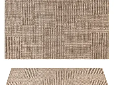 Accent Area Rug 3D model