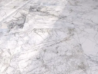 Marble Floor Museums Supreme White 60x60 Texture