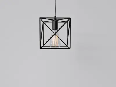 Light Bulb Cage  09 3D model