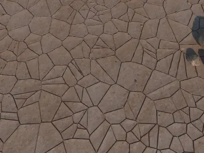 Dried Desert Bed 9 3D model