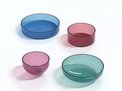 Schonbuch IRO 3D model