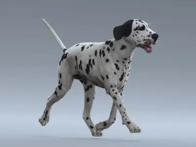  Dalmatian Rigged 