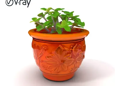 Decorative Flower Pot with Plant Model Pack Low-poly 3D model
