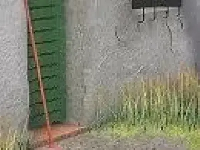 Panicle house with door and broom Free 3D model