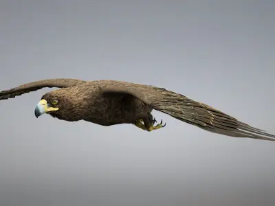  Golden Eagle RIGGED 