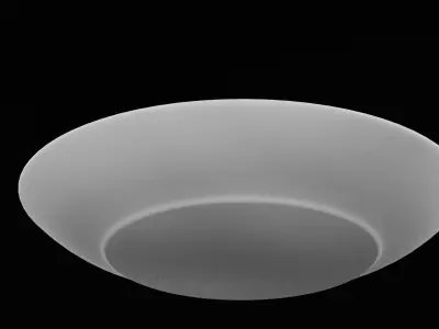 Fried Chicken Plate Low-poly 3D model