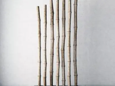 Bamboo decor 3D model