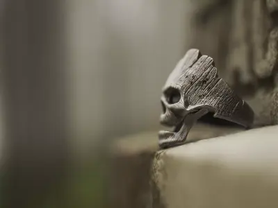 Ring Wooden Skull 1 3D print model
