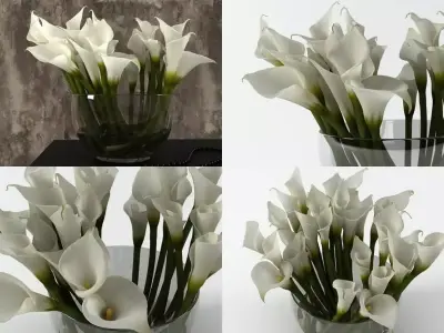 Calla Lily 3D model