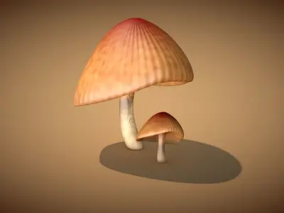Mushroom 3 two mushrooms Low-poly 3D model