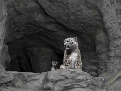  Snow Leopard Mother and Calf in Cave Habitat Fur 