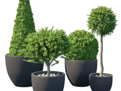 Street bush in a box III 3D model