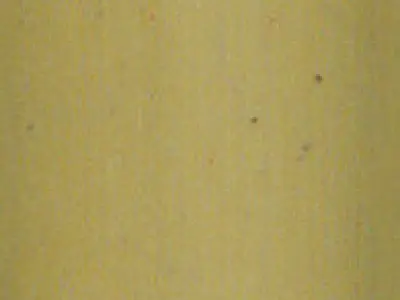 Bamboo Gazebo Low-poly 3D model