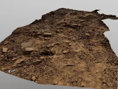 Forest Path 3D model