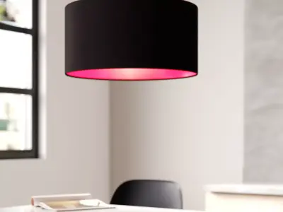 Black Jasper Light Drum Pendant - 2 Colour 3D model