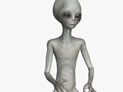 Super-Realistic Gray Alien 3D Animation - Swagger Walk 3D model