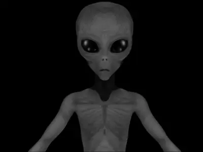 Grey Alien - Zeta Reticulian 3D - OBJ-FBX Low-poly 3D model