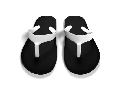 Flip-Flops flip flops 3D model