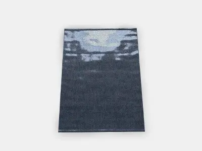 MORUM flat woven carpet indoorrough Low-poly 3D model