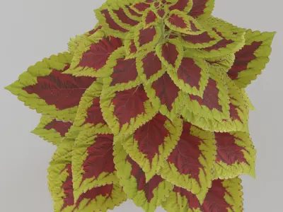 flower in a pot Low-poly 3D model