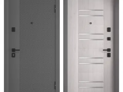 Delta Pro PP entrance door 3D model