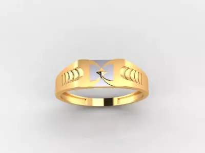 Steel Serenity Ring 3D print model