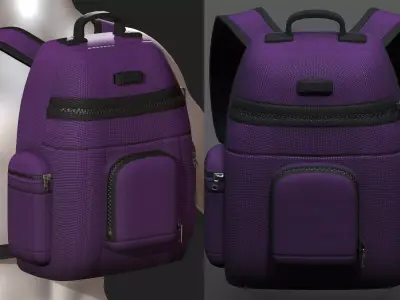 Backpack bag baggage Color 3d low poly Low-poly 3D model 3D model