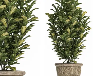 Trees in classic flowerpots for the street parks and garden 493 3D model