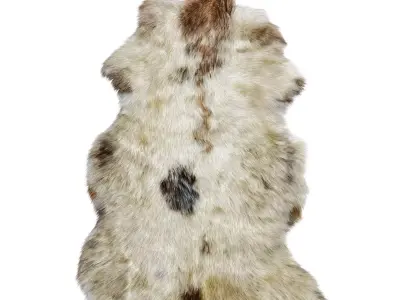 Sheepskin skin rug 3D model