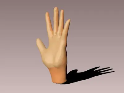 Cartoon Hand model Low-poly 3D model