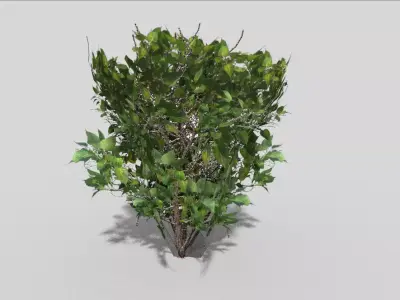 Shrub bush Low-poly 3D model